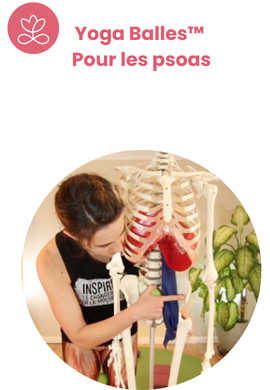 Yoga Balles™️ - Pour les psoas