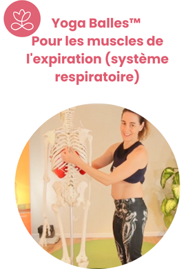 Yoga Balles™️ - Pour les muscles de l'expiration (système respiratoire)