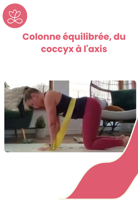 Colonne équilibrée, du coccyx à l'axis