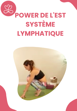 Power de l'Est - système lymphatique