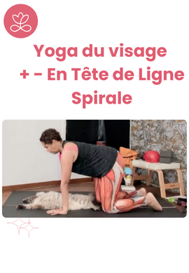 Yoga du visage + - En Tête de Ligne Spirale