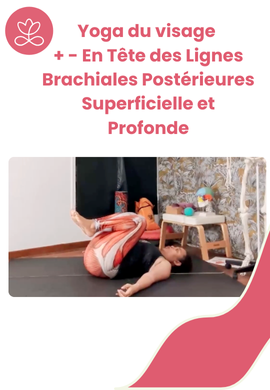 Yoga du visage + - En Tête des Lignes Brachiales Postérieures Superficielle et Profonde