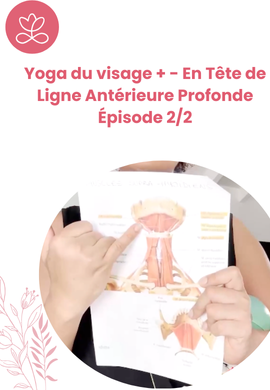 Yoga du visage + - En Tête de Ligne Antérieure Profonde Épisode 2/2