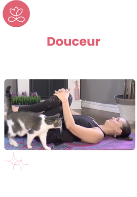 Douceur